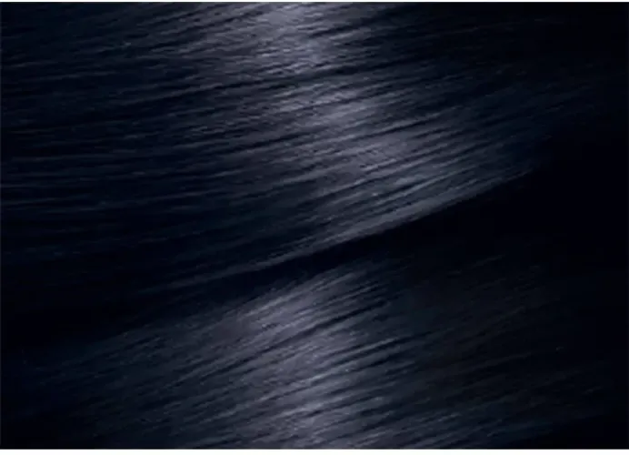 Garnier Color Naturals 2.10 “Иссиня-Черный” Краска для волос Крем-краска 8 недель стойкого цвета Глубокое питание Насыщенный цвет Для всех типов волос, 110 мл, купить недорого