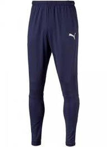 Спортивные штаны Puma 655313, Темно-Синий