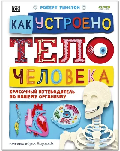 Удивительные энциклопедии. Как устроено тело человека. Красочный путеводитель | Уинстон Роберт