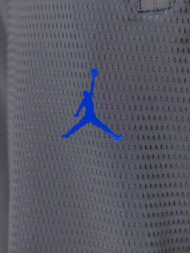 Шорты Nike Jordan Replica, Серый, в Узбекистане