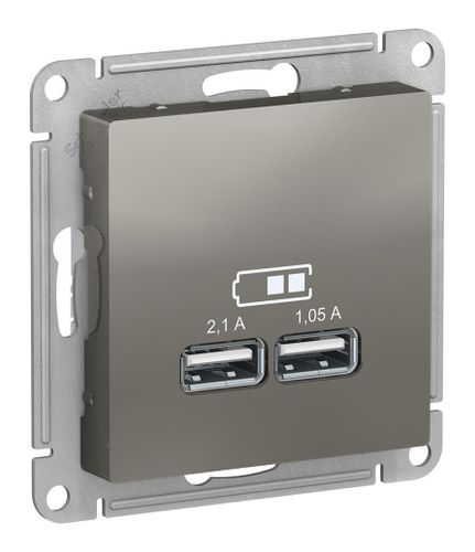 Розетка USB 2-местная Systeme Electric AtlasDesign ATN000933, Стальной