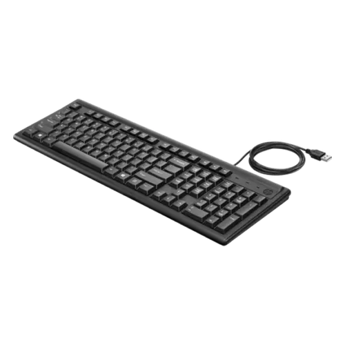 Проводоная клавиатура HP Pavilion Wired Keyboard 300 RUSS, Черный, купить недорого