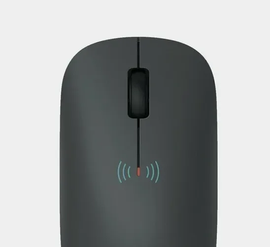 Беспроводная мышь Xiaomi Mouse Lite, Черный, в Узбекистане