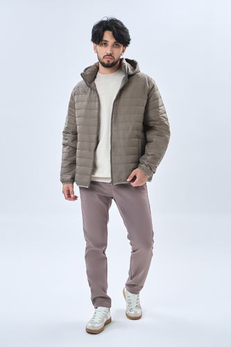 Куртка короткая длина Terra Pro AW23CA1N-12-19025, Beige, 25999000 UZS