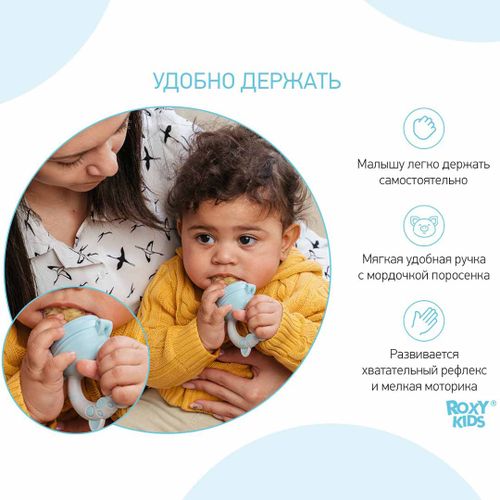 Ниблер для прикорма ROXY-KIDS с силиконовой сеточкой piggy RFN-008, 6+ месяцев, в Узбекистане