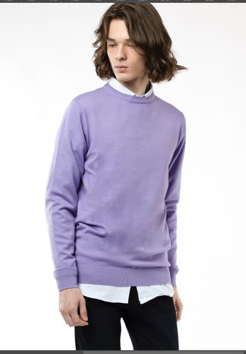 Uzun yengli jemper Terra Pro AW22CA2N-29-11994, Lilac