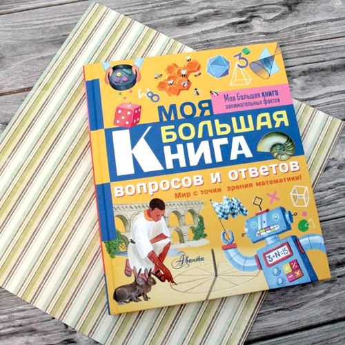 Моя большая книга вопросов и ответов | Риган Лиза