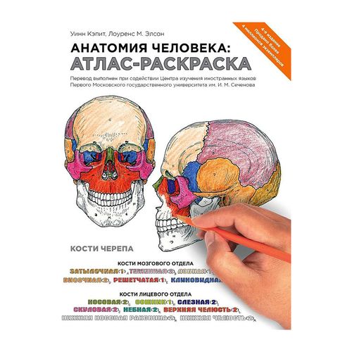 Inson anatomiyasi: Atlas | Elson Lourens, Kapit Uin