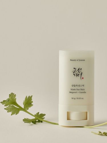Солнцезащитный стик Beauty of Joseon с экстрактом полыни и зелёного чая SPF 50+, 18 мл, фото