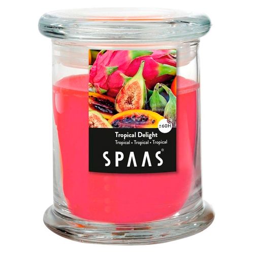 Свеча ароматическая SPAAS Householdjar Tropical delight