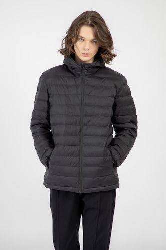 Куртка короткая длина Terra Pro AW22CA1N-12-11676, Dark Grey