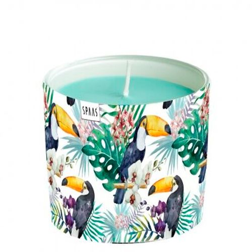 Xushbo'y sham SPAAS Glass Toucan