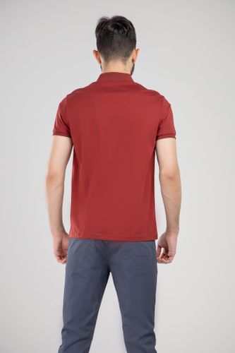 Kalta yengli polo Terra Pro SS21CA2N-17-10122, Dark Red, фото № 9