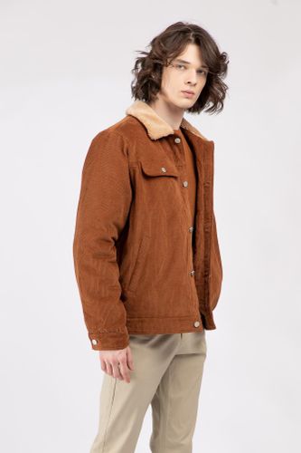 Куртка короткая длина Terra Pro AW22CA1N-12-11807, Clay Brown, O'zbekistonda