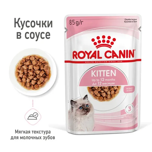 Nam yem Royal Canin Kitten cig, 1 dona, har biri 85 g, купить недорого
