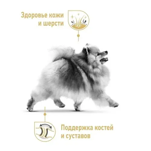 Itlar uchun quruq yem Royal canin pomeranian, 3 kg, купить недорого