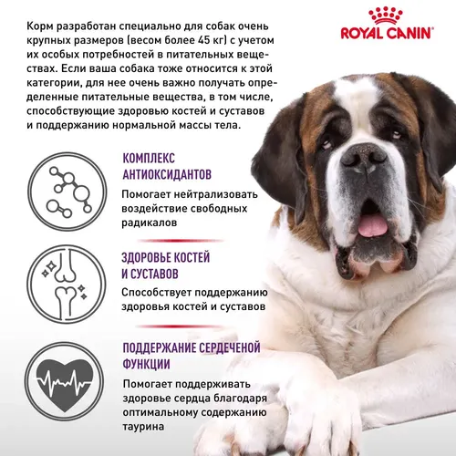 Корм для собак Royal Canin Giant Adult, 20 кг, купить недорого