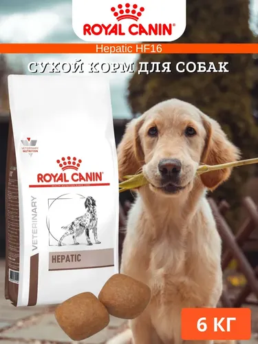 Itlar uchun quruq yem Royal canin hepatic, 6 kg, в Узбекистане