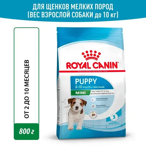 Itlar uchun quruq yem Royal Сanin mini puppy, 8 kg, фото