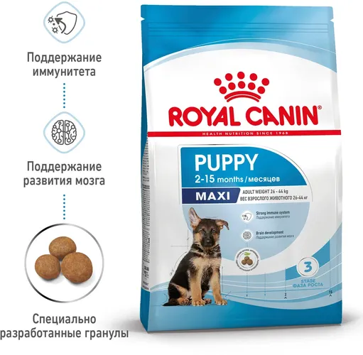 Itlar uchun quruq yem Royal Canin maxi puppy, 20 kg
