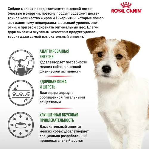 Itlar uchun quruq yem Royal Canin mini adult, 8 kg, в Узбекистане