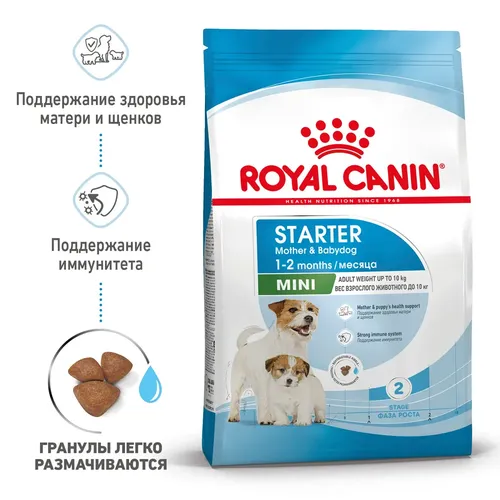 Itlar uchun quruq yem Royal canin mini starter, 20 kg
