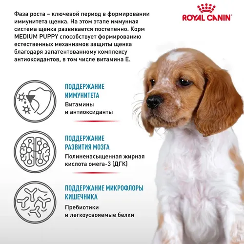 Itlar uchun yem Royal Canin Medium Puppy, 20 kg, купить недорого