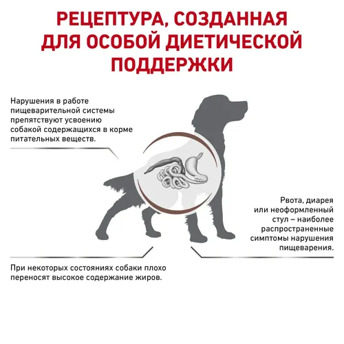 Itlar uchun quruq yem Royal Canin Gastrointestinal Low Fat, 6 kg, фото