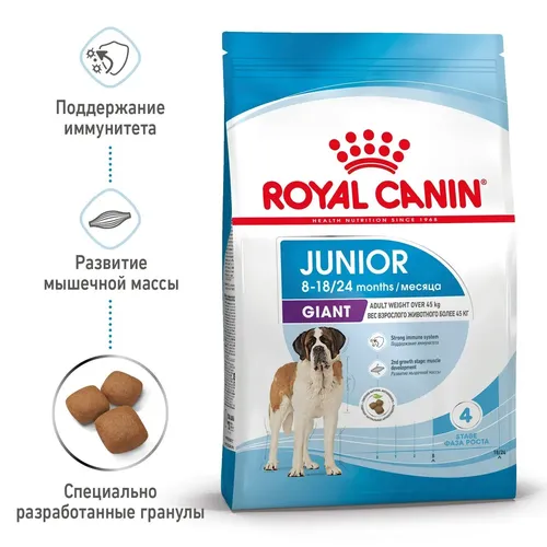 Itlar uchun yem Royal Canin Giant Junior, 17 kg