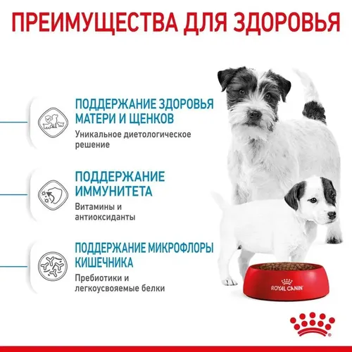 Сухой корм для щенков Royal Canin Mini Starter, 16 кг, 152000000 UZS