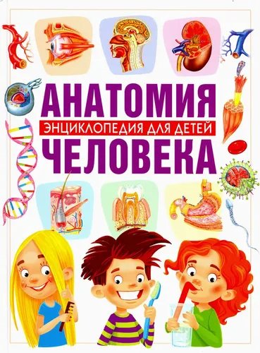 Анатомия человека. Энциклопедия для детей | Гуиди Винченцо