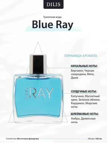 Tualet suvi Dilis Blue Ray, 100 ml, купить недорого