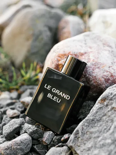 Tualet suvi Dilis Le Grand Bleu, 100 ml, в Узбекистане