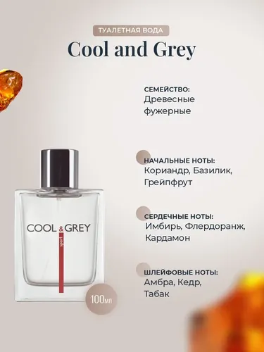 Туалетная вода Dilis Cool and Grey Sport, 100 мл, купить недорого