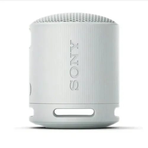 Портативная беспроводная колонка Sony XB100, Серый