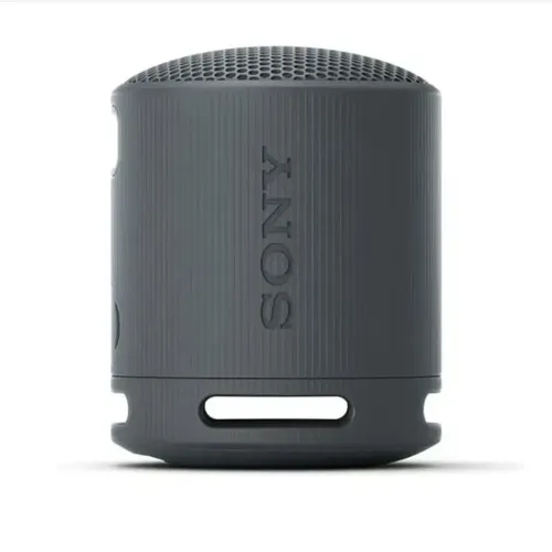 Портативная беспроводная колонка Sony XB100, Черный