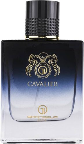 Парфюмированная вода Grandeur Perfume Cavalier, 100 мл