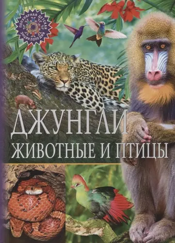 Джунгли. Животные и птицы. Популярная детская энциклопедия