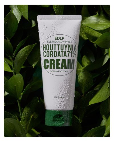 Увлажняющий крем для лица Derma Factory Houttuynia Cordata 71% Cream, 60 мл, купить недорого