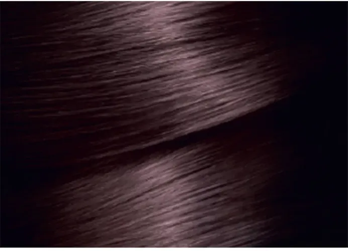 Краска для волос Garnier Color Naturals, №-4.12, 110 мл, купить недорого
