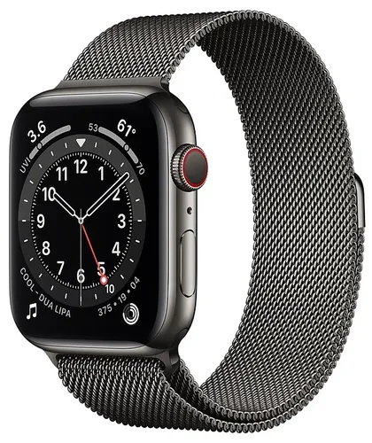 Часы Apple Watch Series 6, Graphite Stainless Steel Case with Graphite Milanese Loop, 44 мм