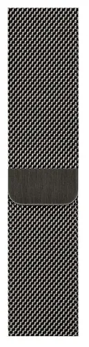 Часы Apple Watch Series 6, Graphite Stainless Steel Case with Graphite Milanese Loop, 44 мм