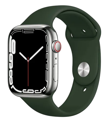 Часы Apple Watch Series 7, Silver Stainless Steel Case with Clover Sport Band, 45 мм