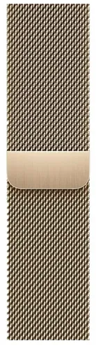 Часы Apple Watch Series 9, Gold Stainless Steel Case/Gold Milanese Loop, 45 мм