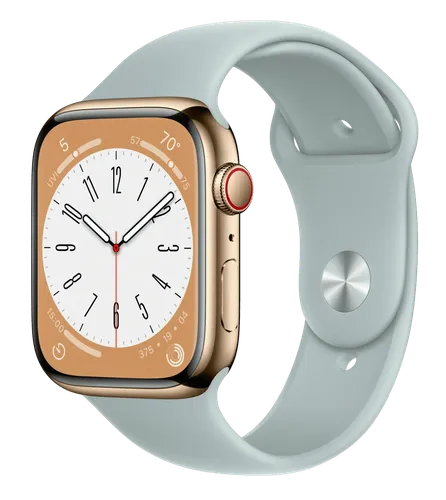 Часы Apple Watch Series 8, Gold Stainless Steel Case with Elderberry Sport Band, 45 мм