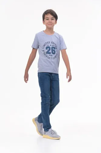 Детская футболка для мальчиков Rumino Jeans BOYFK25GRWLS021, Серый, фото № 9