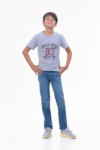 Детская футболка для мальчиков Rumino Jeans BOYFK25GRWLS011, Серый, фото № 10