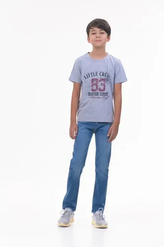 Детская футболка для мальчиков Rumino Jeans BOYFK25GRWLS011, Серый, фото № 9
