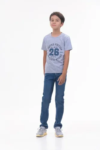 Детская футболка для мальчиков Rumino Jeans BOYFK25GRWLS021, Серый, фото № 24