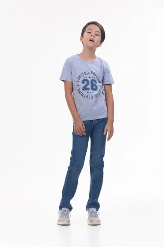 Детская футболка для мальчиков Rumino Jeans BOYFK25GRWLS021, Серый, фото № 11